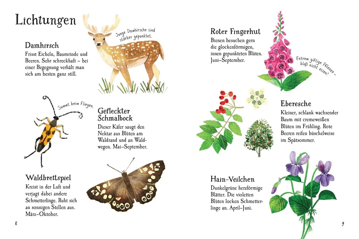 Usborne Minis Naturführer: Im Wald