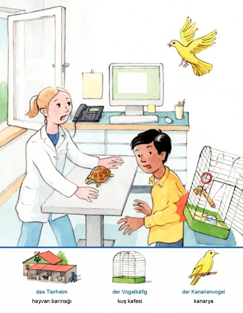 Evcil Hayvanlarımız / Evcil Hayvanlarımız