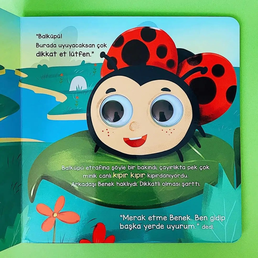 Ayı Balküpü ve Sevimli Dostları - Bu Kocaman Gözler Kimin? (Ayı Balküpü ve tatlı arkadaşları - Bu büyük gözler kime ait?)