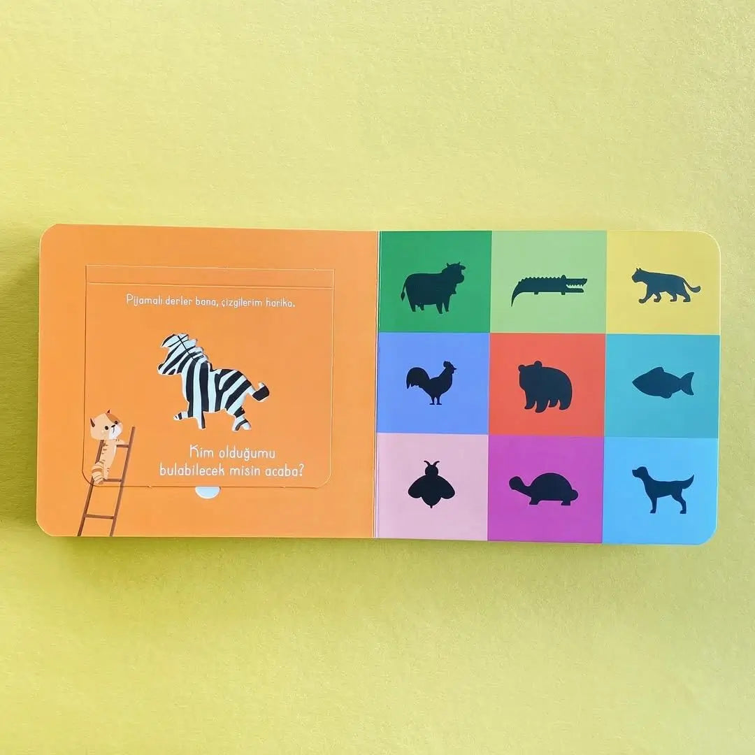 Bak-Bul Sobe Meraklı Kedi (Schau-Finde Sobe - Die neugierige Katze)