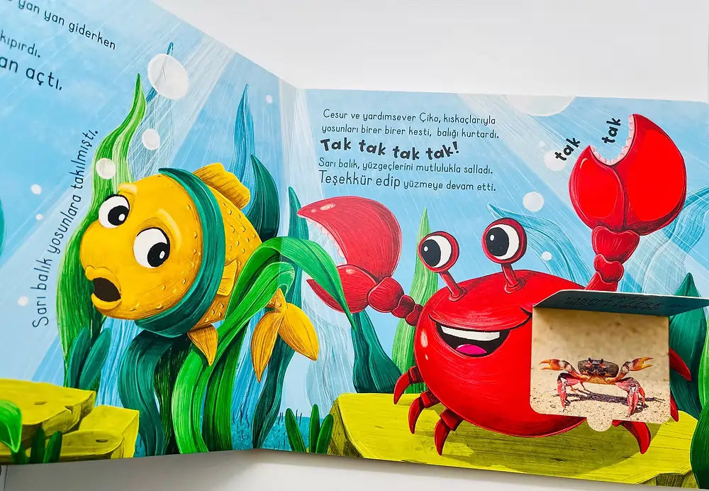 My First Touch Book - Touch the Ocean