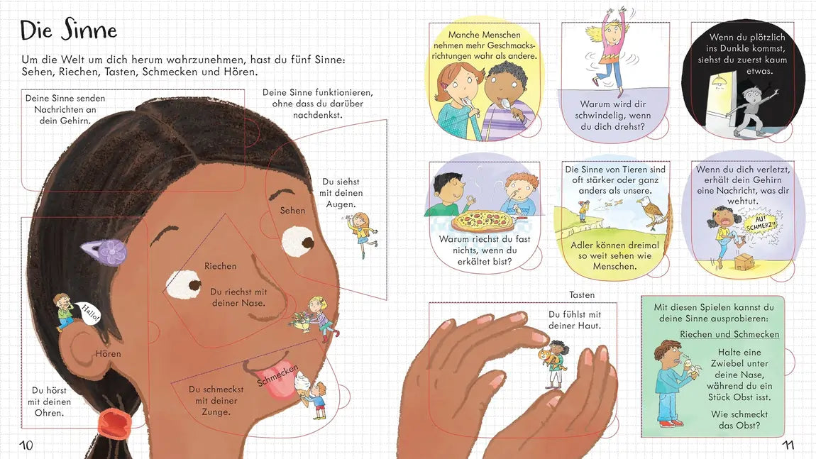 Aufklappen und Entdecken: Dein Körper