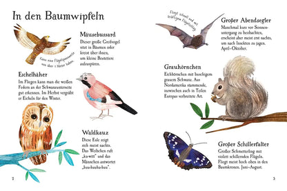 Usborne Minis Naturführer: Im Wald