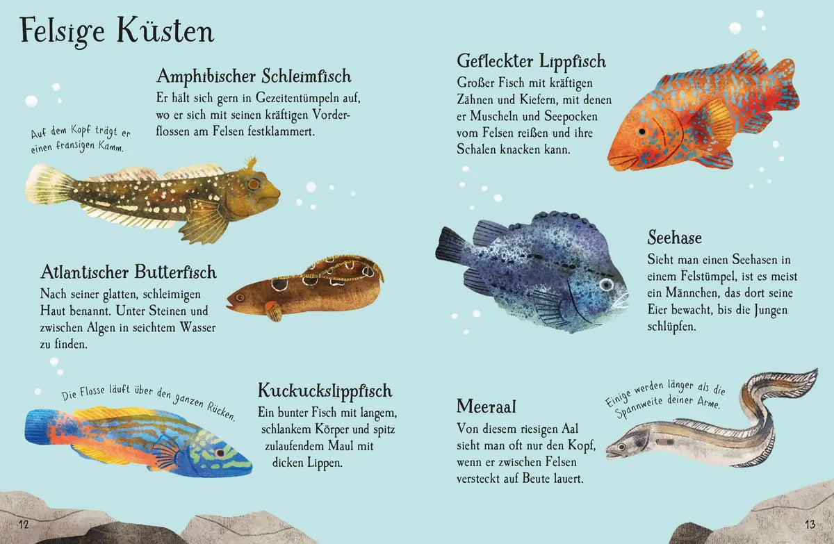 Usborne Minis Naturführer: Fische