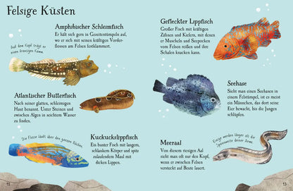 Usborne Minis Naturführer: Fische