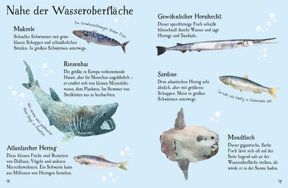 Usborne Minis Naturführer: Fische