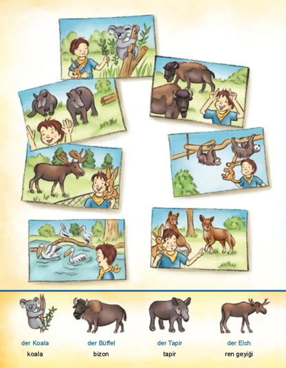 Im Zoo / Hayvanat Bahçesinde