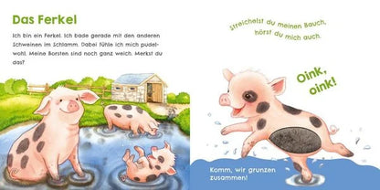 Hör mal. wie ich schnattern kann (Mein erstes Streichel-Soundbuch 1)-Deutsche Kinderbücher-SprachStern