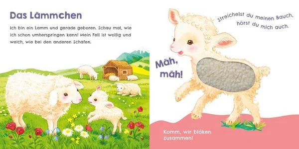 Hör mal. wie ich schnattern kann (Mein erstes Streichel-Soundbuch 1)-Deutsche Kinderbücher-SprachStern