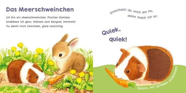 Hör mal. wie ich miauen kann (Mein erstes Streichel-Soundbuch 2)-Deutsche Kinderbücher-SprachStern