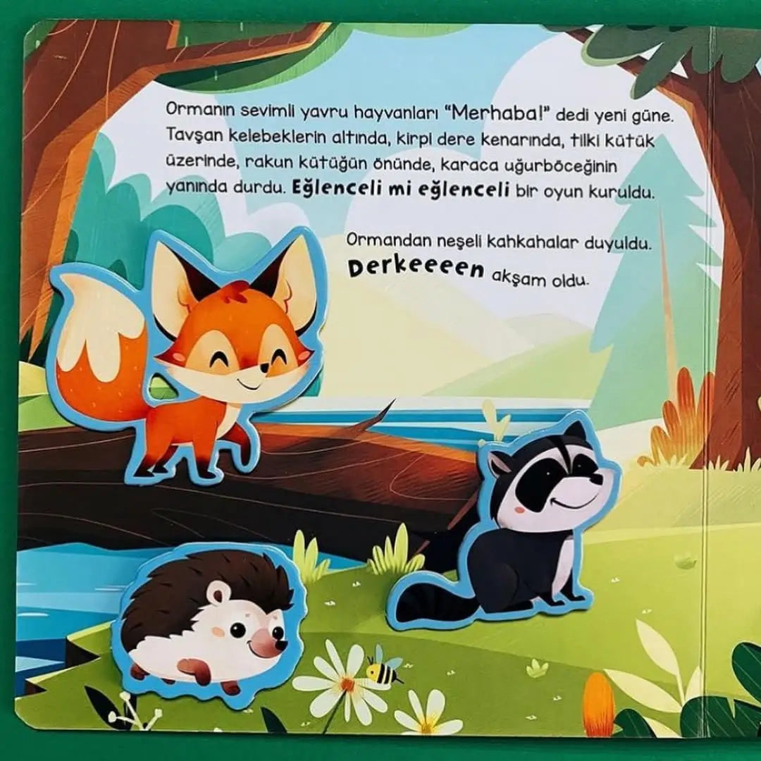 Merhaba Orman - Cırt Cırtlı Hikaye Kitap (Hallo Wald - Klettverschluss-Geschichtenbuch)