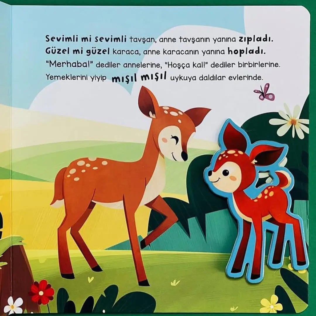 Merhaba Orman - Cırt Cırtlı Hikaye Kitap (Hallo Wald - Klettverschluss-Geschichtenbuch)