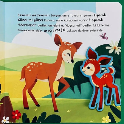 Merhaba Orman - Cırt Cırtlı Hikaye Kitap (Hallo Wald - Klettverschluss-Geschichtenbuch)