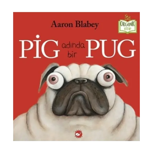 Pig Adında Bir Pug (Ein Mops namens Pig)-Türkische Kinderbücher-SprachStern