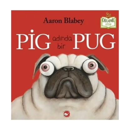 Pig Adında Bir Pug (Ein Mops namens Pig)-Türkische Kinderbücher-SprachStern