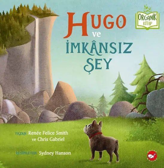 Hugo ve İmkansız Şey (Hugo und die unmögliche Sache)-Türkische Kinderbücher-SprachStern