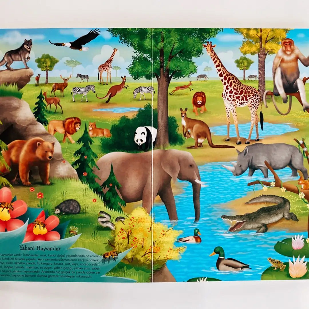 Ne Sorsan Bilir Minik - İlk Büyük Hayvanlar Kitabım (My First Big Book of Animals)