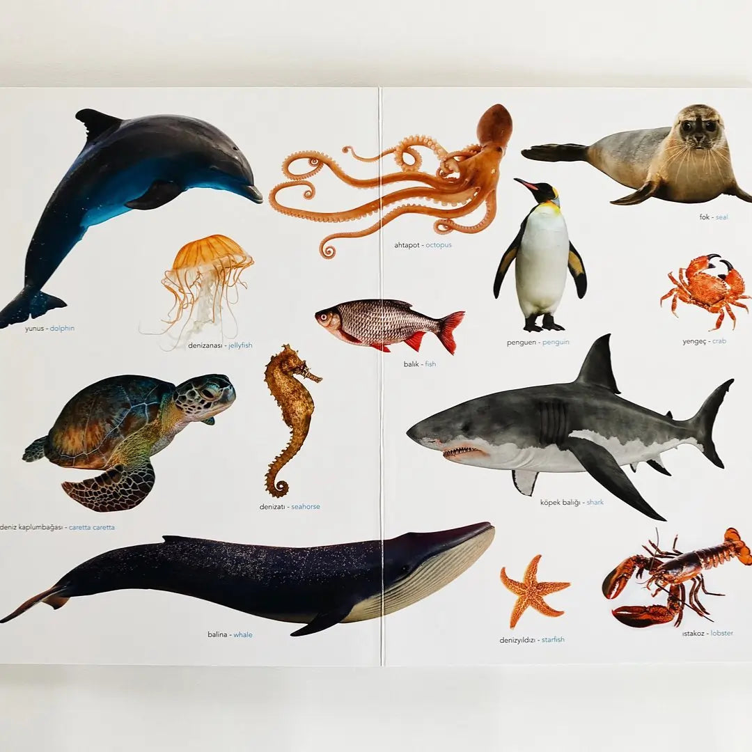 Ne Sorsan Bilir Minik - İlk Büyük Hayvanlar Kitabım (My First Big Book of Animals)