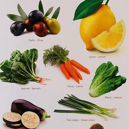 Ne Sorsan Bilir Minik - Benim İlk Bitkiler Kitabım (Mein erstes Buch über Pflanzen)