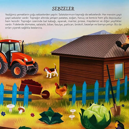 Ne Sorsan Bilir Minik - Benim İlk Bitkiler Kitabım (Mein erstes Buch über Pflanzen)