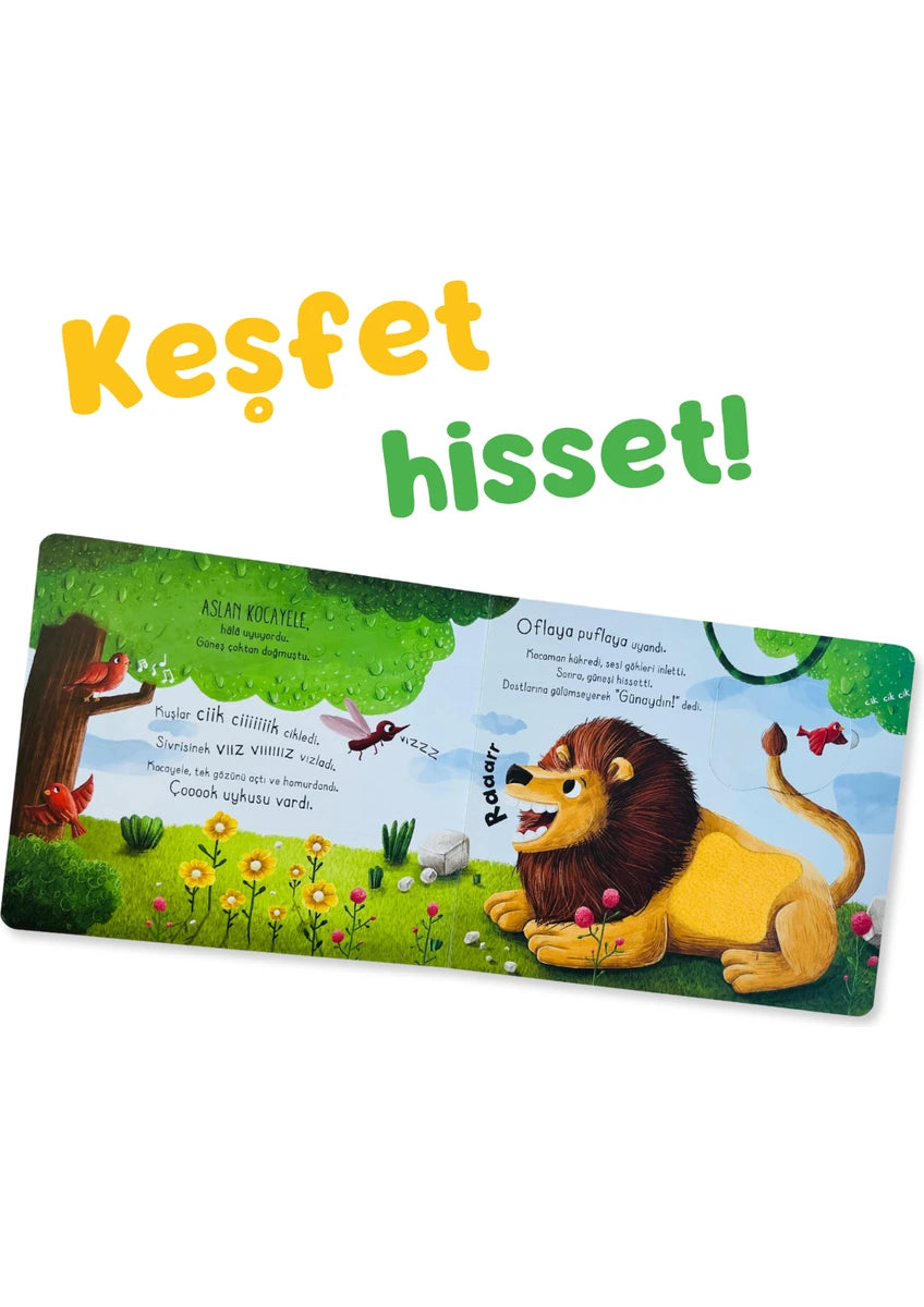 İlk Dokun Hisset Kitabım Ormana Dokun (Mein erstes Fühlbuch - Berühre den Wald)