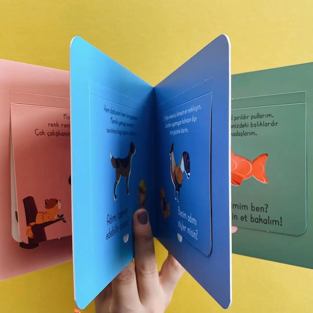 Bak-Bul Sobe Meraklı Kedi (Schau-Finde Sobe - Die neugierige Katze)