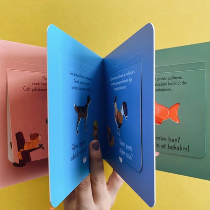 Bak-Bul Sobe Meraklı Kedi (Schau-Finde Sobe - Die neugierige Katze)