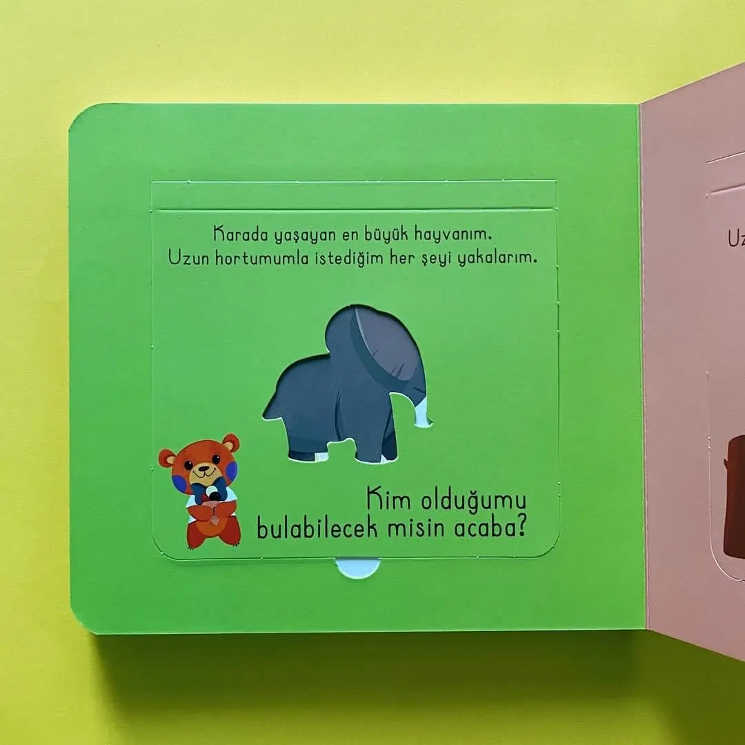 Bak-Bul Sobe Gezgin Ayıcık (Schau-Finde Sobe - Der kleine reisende Bär)