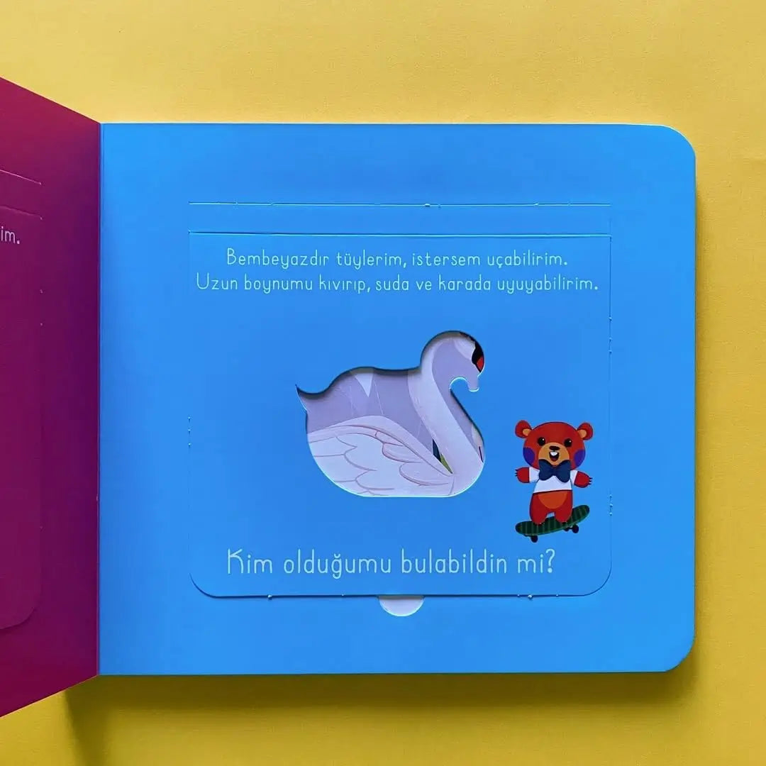 Bak-Bul Sobe Gezgin Ayıcık (Schau-Finde Sobe - Der kleine reisende Bär)