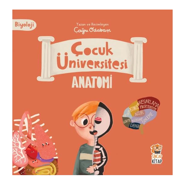 Çocuk Üniversitesi Biyoloji - Anatomi (Kinderuniversität Biologie - Anatomie)-Türkische Kinderbücher-SprachStern