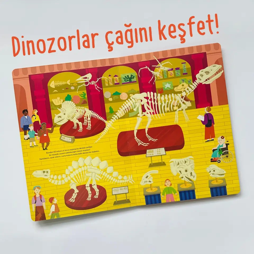 Ne Sorsan Bilir – Dinozorlar (Was du auch fragst – Dinosaurier)