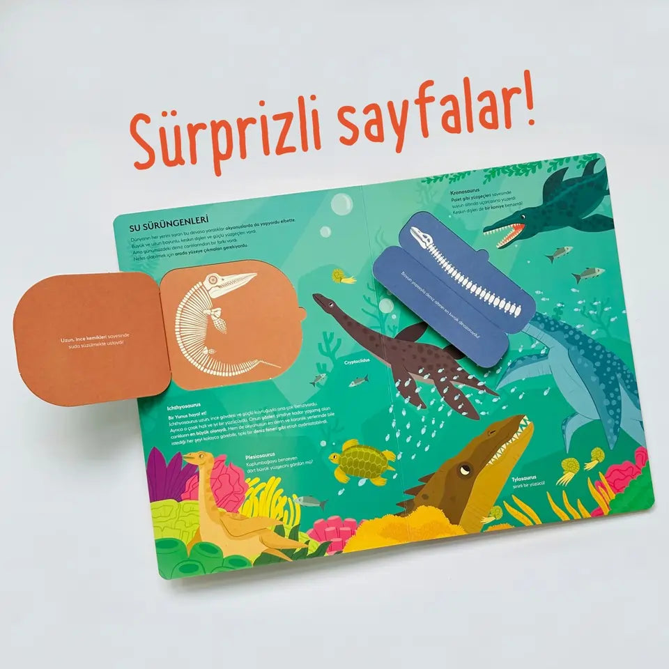 Ne Sorsan Bilir – Dinozorlar (Was du auch fragst – Dinosaurier)