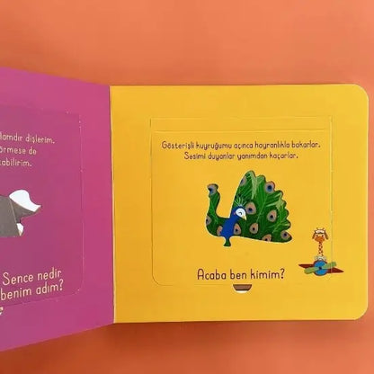 Bak-Bul Sobe Oyuncu Zürafa (Schau-Finde Sobe - Die verspielte Giraffe)