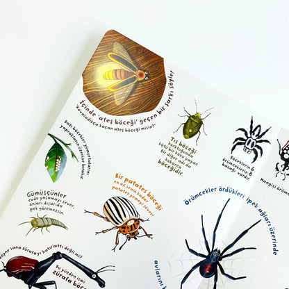 Ne Sorsan Bilir Minik - Benim İlk Böcekler Kitabım (Mein erstes Buch über Insekten)