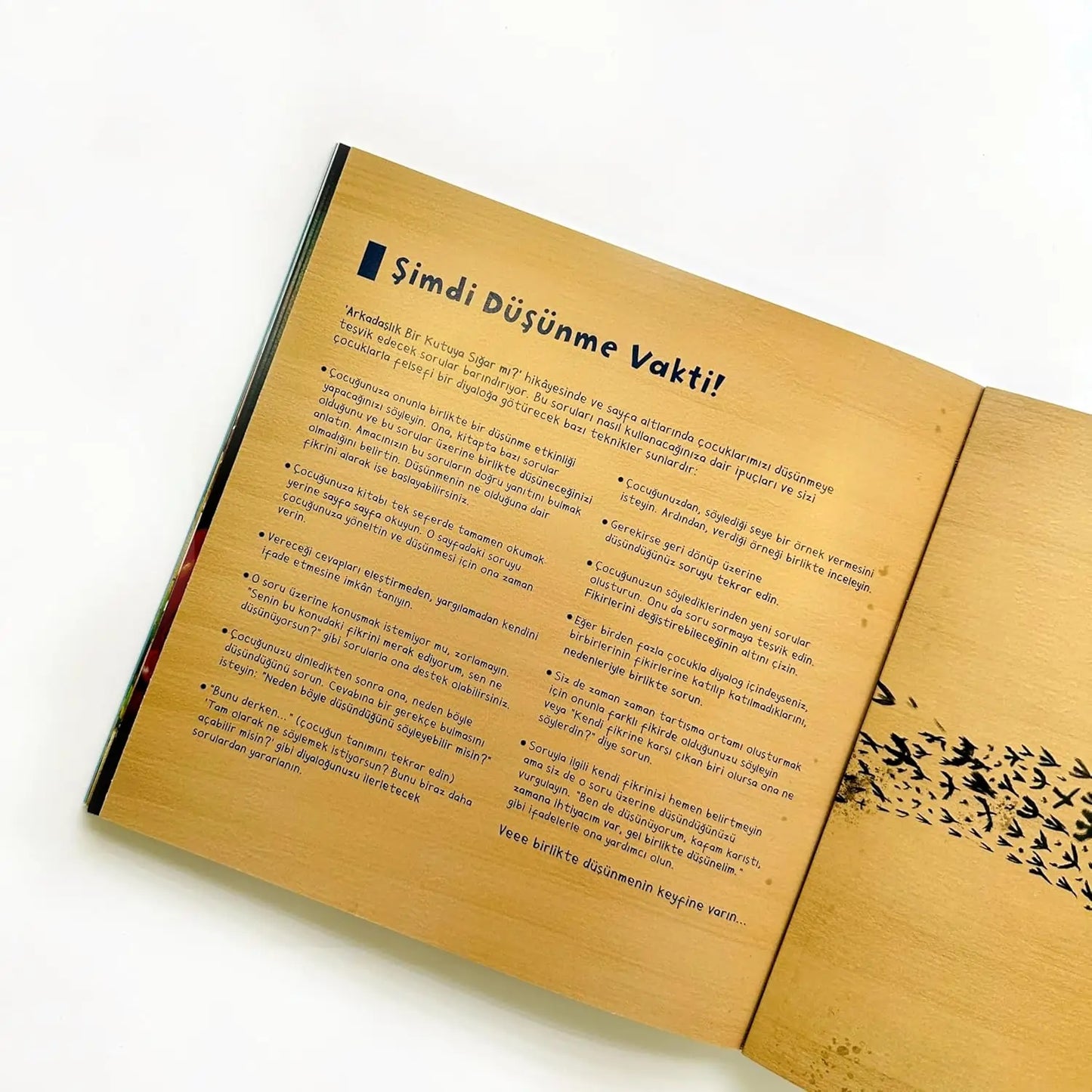 Arkadaşlık Bir Kutuya Sığar mı? (Passt Freundschaft in eine Kiste?)