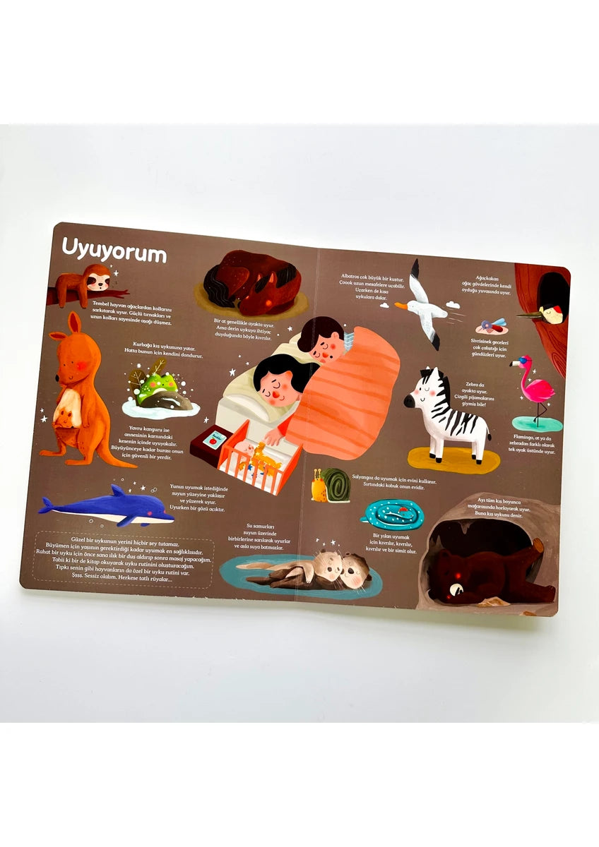 Genel Kültür Kitabım - Büyüyorum (Mein Allgemeinwissensbuch - Ich wachse)