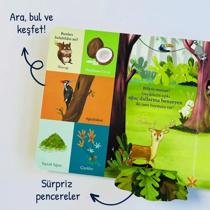 Bir Yola Çık - Hayvanlar (Mach dich auf den Weg - Tiere)