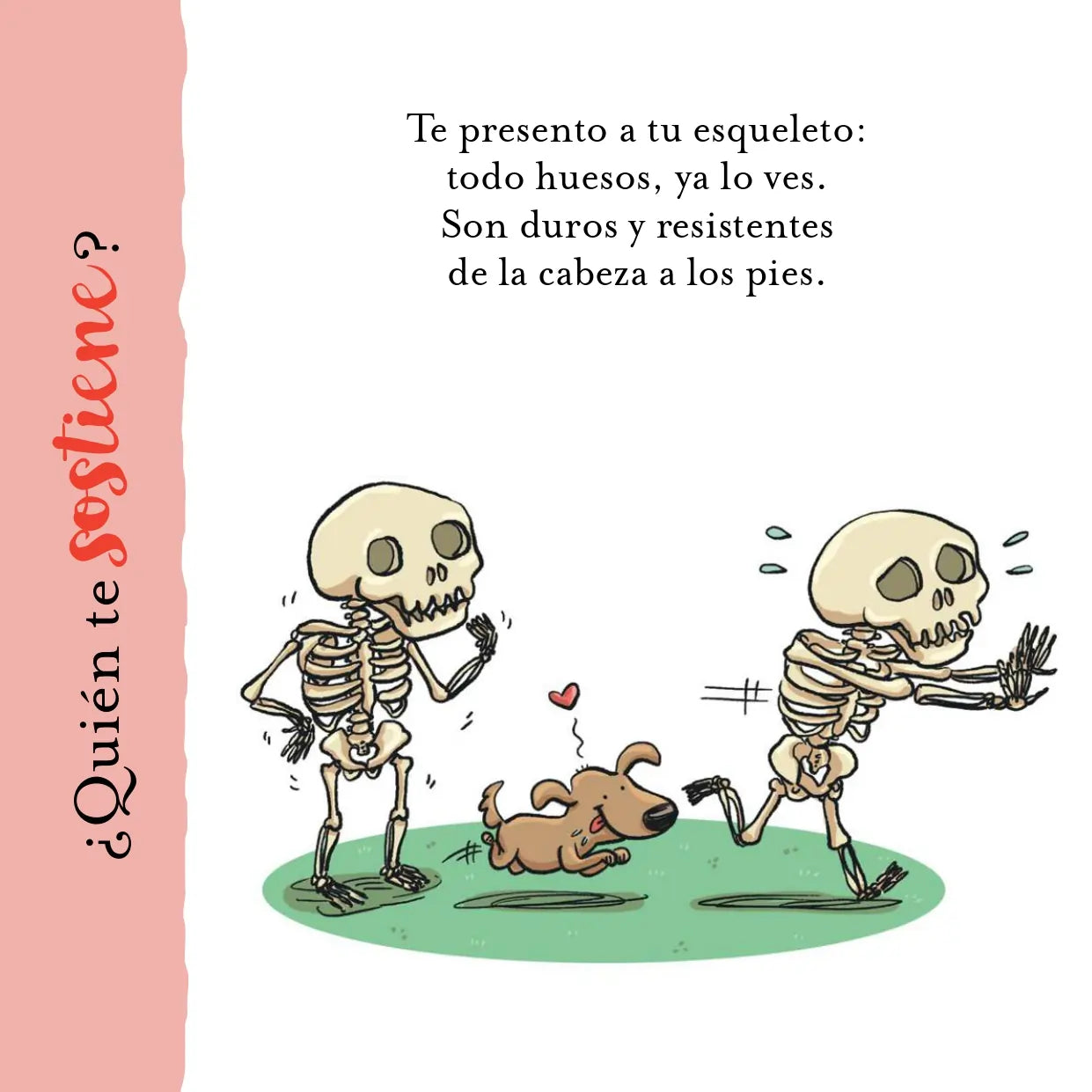 El cuerpo humano (Der menschliche Körper)