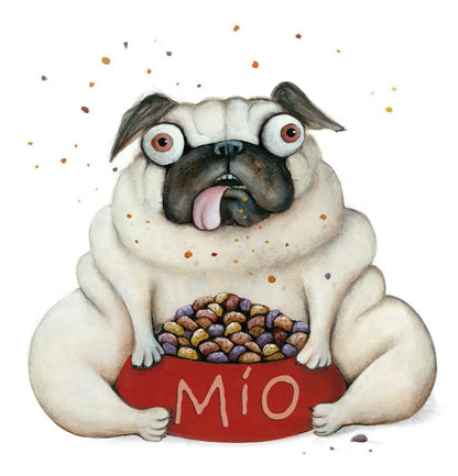 Coco el perro (Coco der Hund)