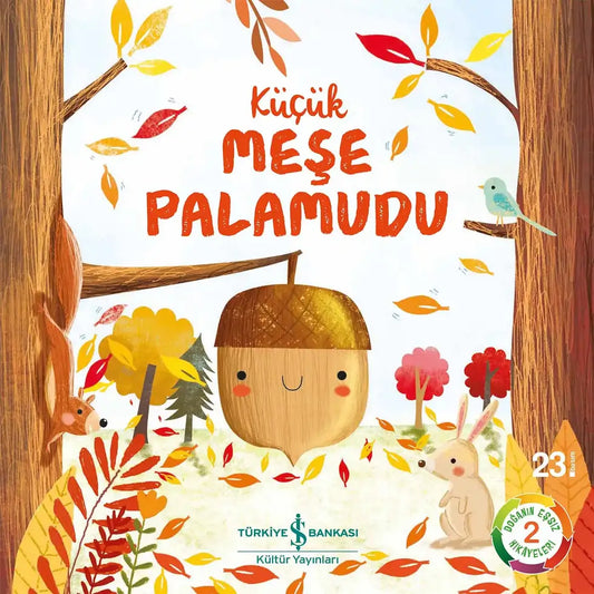 Küçük Meşe Palamudu - Little Acorn